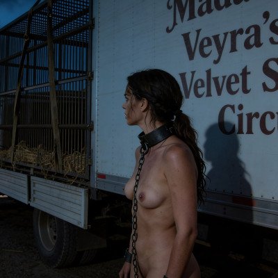 Beside The Transport Cage